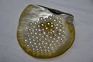 Aljui Collection: DDE-90024671
