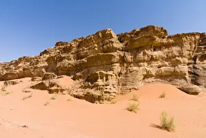 Wadi Prints: DDE-90025151