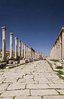 Column Prints: DDE-90025159