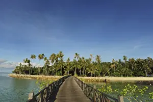 Mabul Prints: DDE-90025180