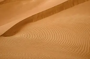 Empty Prints: DDE-90025410