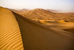Empty Prints: DDE-90025425