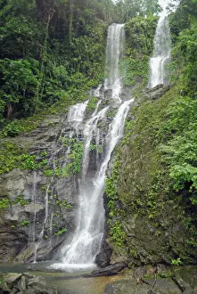 Falling Prints: DDE-90025440