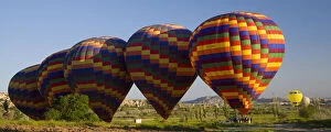 Ballooning Collection: DDE-90025616
