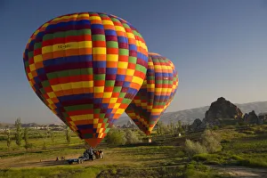 Ballooning Collection: DDE-90025617