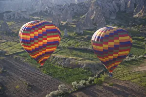 Ballooning Collection: DDE-90025618