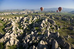 Ballooning Collection: DDE-90025619