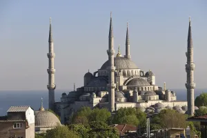 Turkey Prints: DDE-90025643