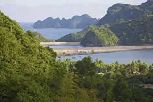 Vietnam Prints: DDE-90025650