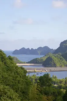 Vietnam Prints: DDE-90025651