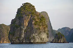 Vietnam Prints: DDE-90025656