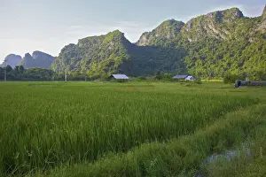 Vietnam Prints: DDE-90025657