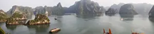 Vietnam Prints: DDE-90025675