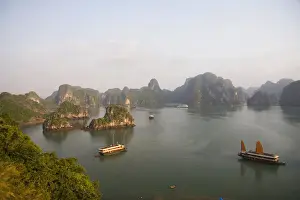 Vietnam Prints: DDE-90025684