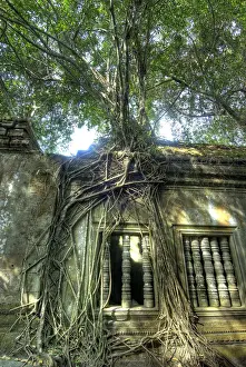Angkor Prints: DDE-90025704