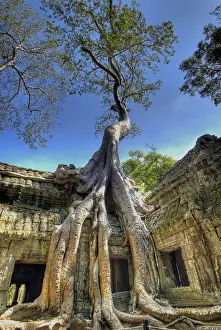 Angkor Prints: DDE-90025710