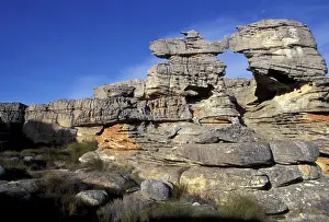 Cederberg Prints: DDE-90025736