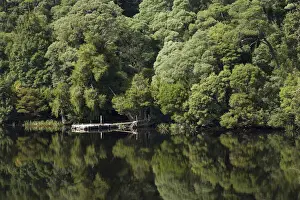 Reflected Prints: DDE-90025930