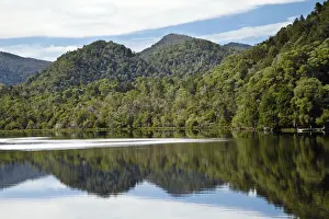 Reflected Prints: DDE-90025932