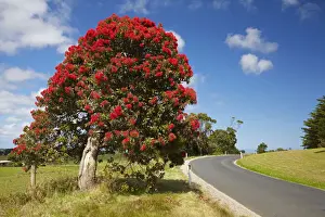 Road Prints: DDE-90025953