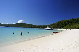 Whitsunday Prints: DDE-90026117