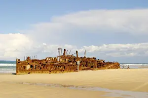 Wreck Prints: DDE-90026125