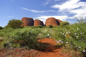 Outback Prints: DDE-90026129