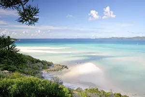 Whitsunday Prints: DDE-90026133