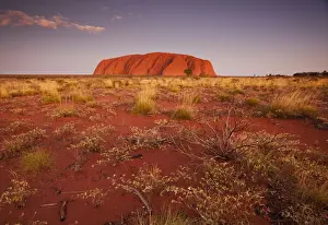 Outback Prints: DDE-90026192