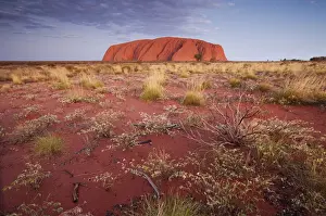 Outback Prints: DDE-90026194