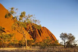 Outback Prints: DDE-90026196