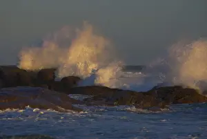 Waves Prints: DDE-90026257