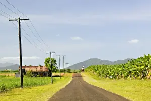Queensland Prints: DDE-90026267
