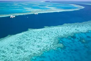 Queensland Prints: DDE-90026287