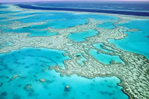 Queensland Prints: DDE-90026289