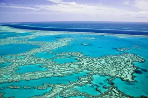 Queensland Prints: DDE-90026290