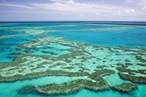 Queensland Prints: DDE-90026292