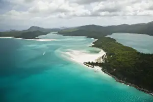 Queensland Prints: DDE-90026303