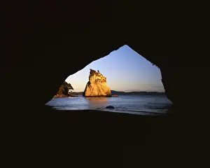 Cove Prints: DDE-90026337