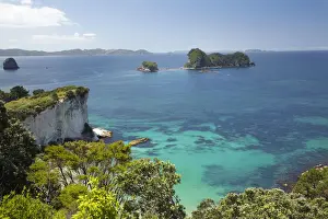 Cove Prints: DDE-90026448