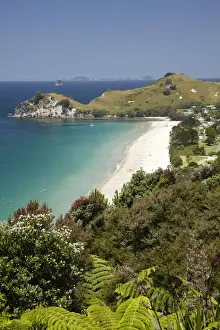 Coromandel Prints: DDE-90026453