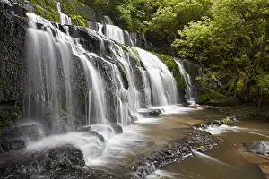 Catlins Prints: DDE-90026498