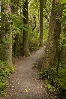 Hiking Prints: DDE-90026500