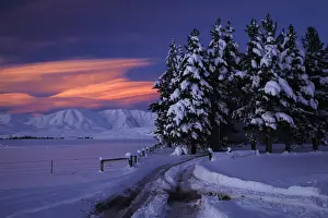 Alpenglow Prints: DDE-90026514