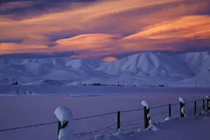 Alpenglow Prints: DDE-90026516