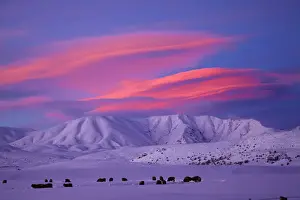 Alpenglow Prints: DDE-90026517