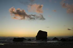 Karamea Prints: DDE-90026664