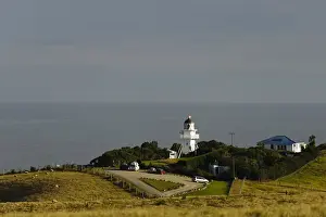 Otago Prints: DDE-90026690