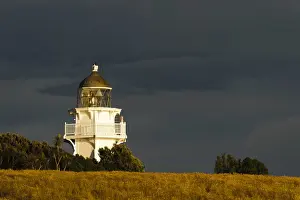 Otago Prints: DDE-90026694
