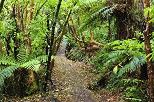 Otago Prints: DDE-90026699